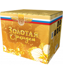 Золотая орхидея